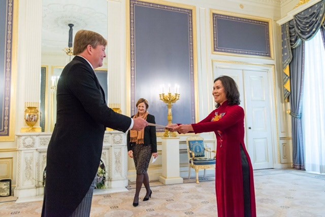 Нидерланды претендуют расширить сотрудничество с Вьетнамом  - ảnh 1